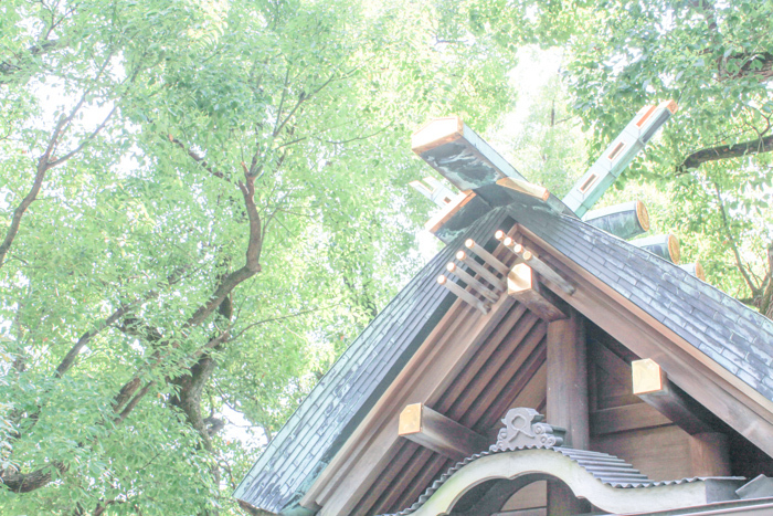 yatagarasu_a0271251_23244955.jpg