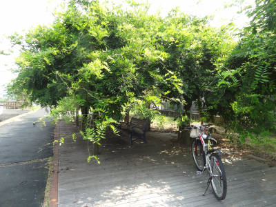 e0033751_12395030.jpg