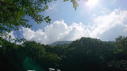 a0208560_14174702.jpg