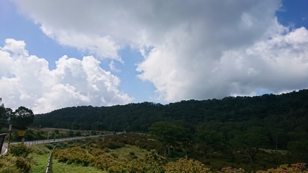 a0208560_14181922.jpg