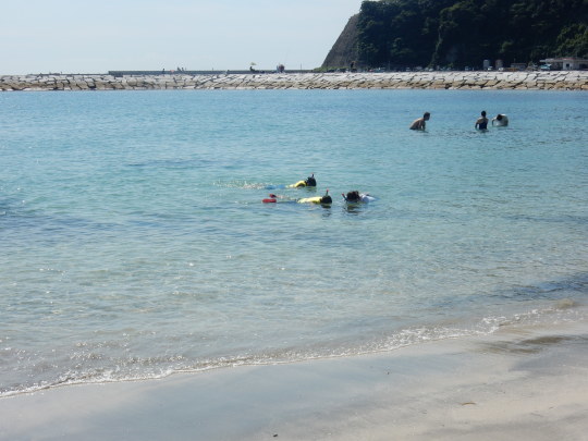 ’17,9,11(月)秋の興津海岸散歩!_f0060461_10424403.jpg