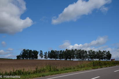 d0340565_20285405.jpg