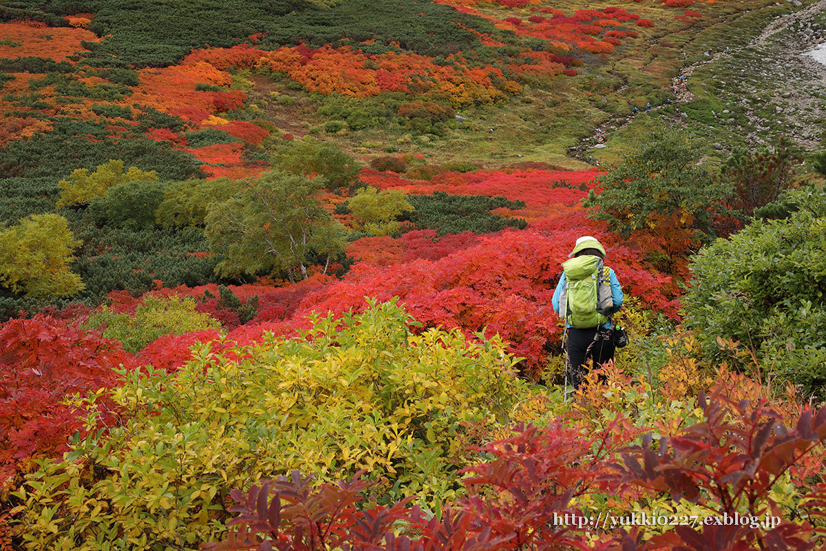 銀泉台 赤岳 17秋 真紅の紅葉が素晴らしい 速報 あ した天気になぁ れ