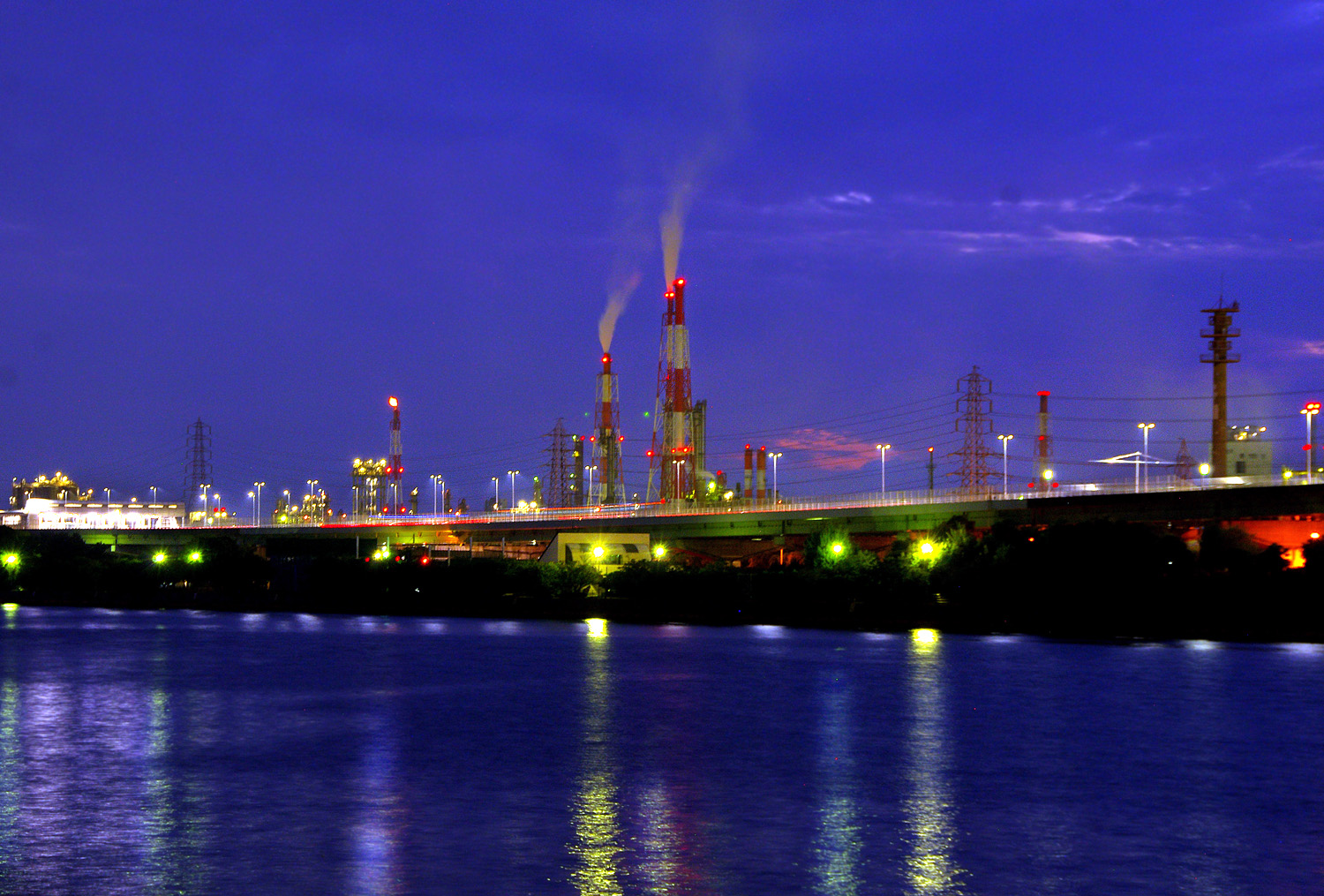 浜寺公園遊歩道からの夜景 ぶらり自然散歩