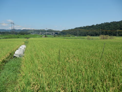 b0334084_21483340.jpg