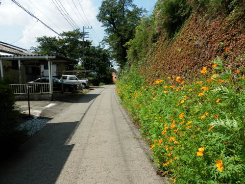 b0334084_21500808.jpg