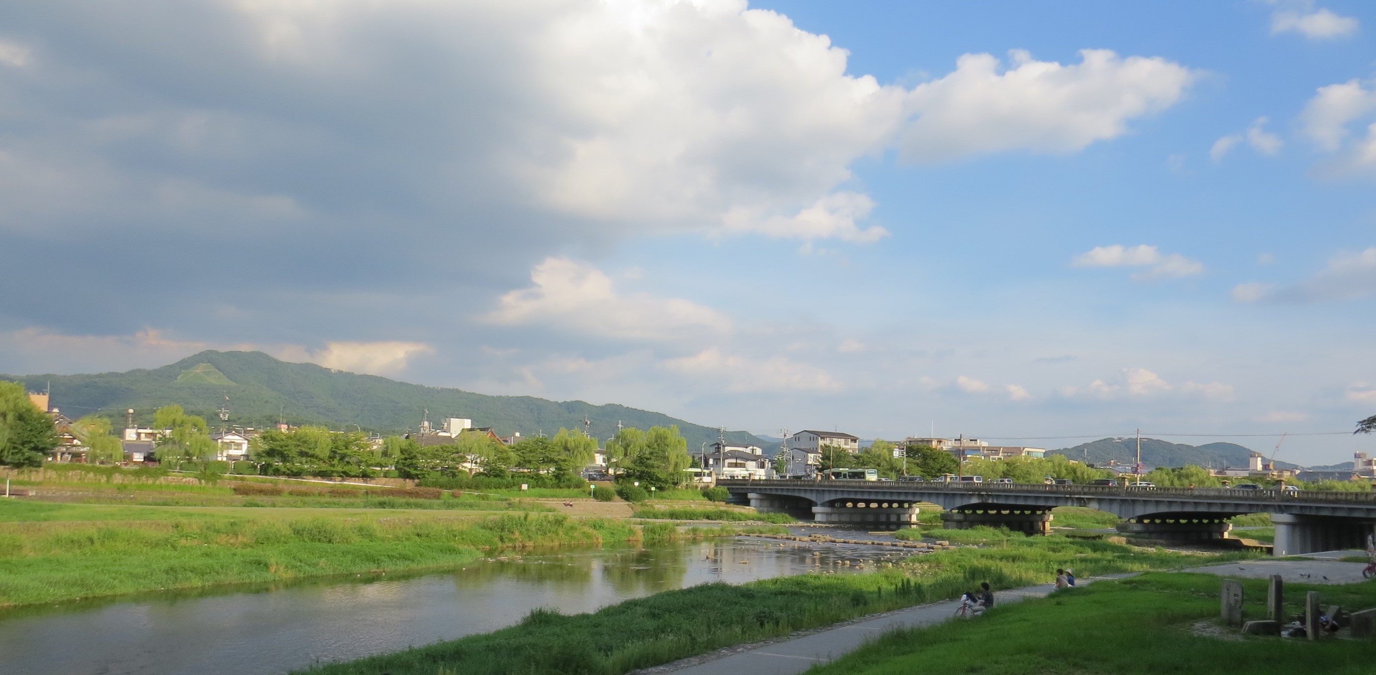 名古屋地裁平成29年7月2日判決,もやもや病の疑いのある小児の脳梗塞発症事案で約6600万円の賠償を命令_b0206085_10503316.jpg