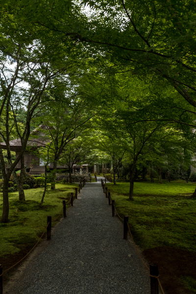 三千院_e0051888_05273713.jpg