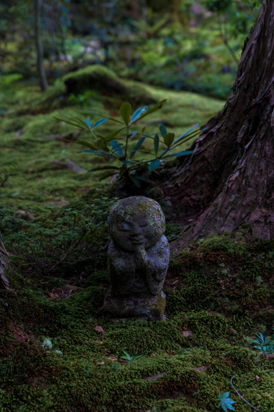三千院_e0051888_05273790.jpg