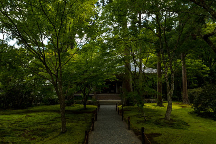三千院_e0051888_05273833.jpg