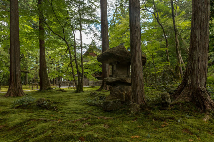 三千院_e0051888_05281333.jpg