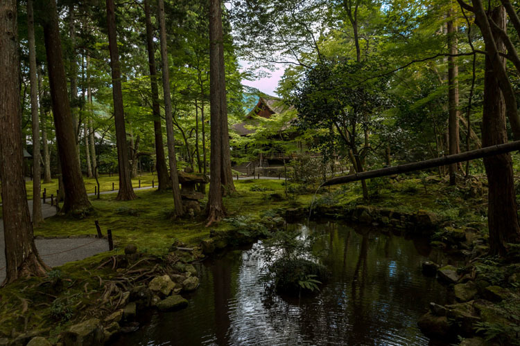 三千院_e0051888_05285302.jpg