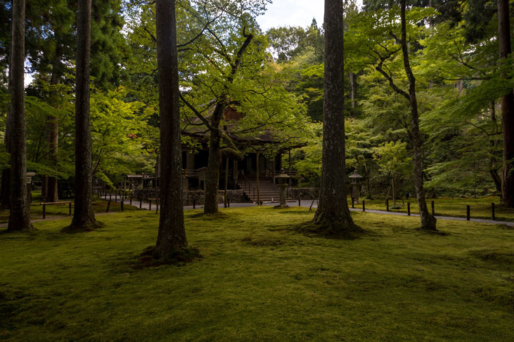 三千院_e0051888_05290667.jpg