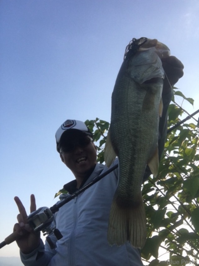 SOW:楽しさ再確認_a0183304_11303425.jpg