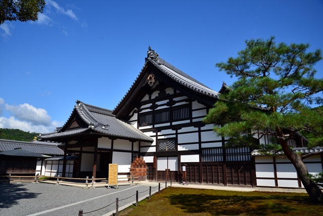 2017.9.8　今度は二人で京都に行こう　その１　～　憧れの金閣寺　～_f0373905_14282133.jpg