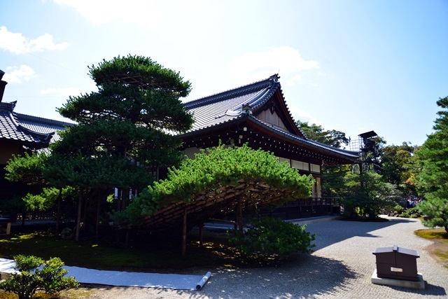 f0373905_15071016.jpg