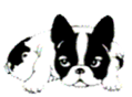 e0075412_21441172.png