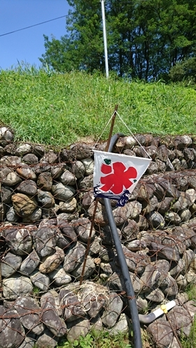 c0013922_20183677.jpg