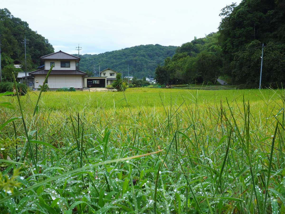 2017年09月12日・・・雷雨明けの朝_f0070823_17285307.jpg