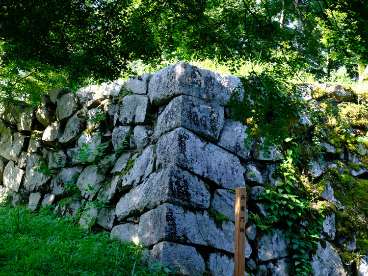 「ますます益田最終日　津和野でお城にのぼります！」_a0000029_19585612.jpg