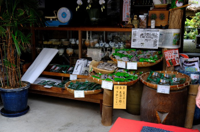 「島根・益田 ラストは堀庭園!と津和野の街並み」_a0000029_20405619.jpg