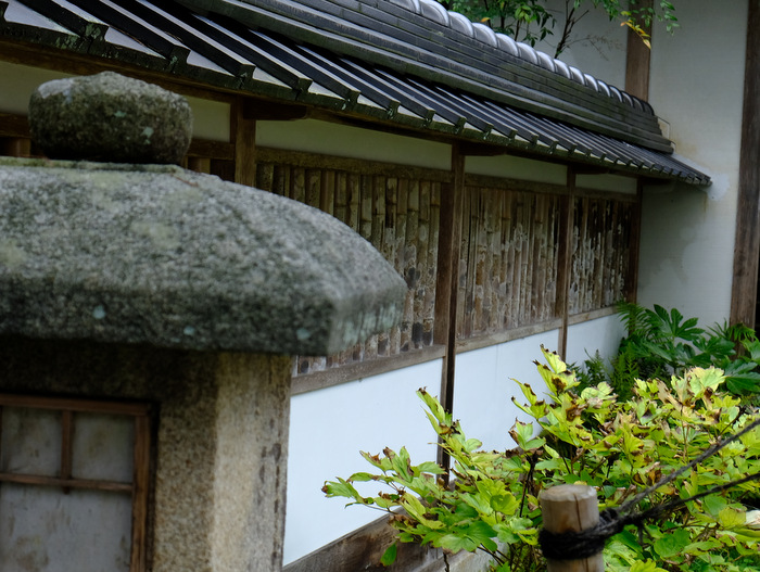 「島根・益田 ラストは堀庭園!と津和野の街並み」_a0000029_21241280.jpg