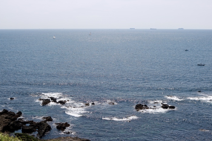 f0348831_20294111.jpg