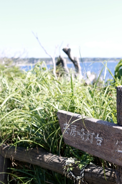 【県立 城ヶ島公園】_f0348831_20294679.jpg