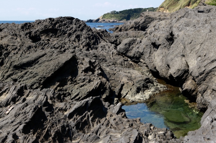 【県立 城ヶ島公園】_f0348831_20313818.jpg