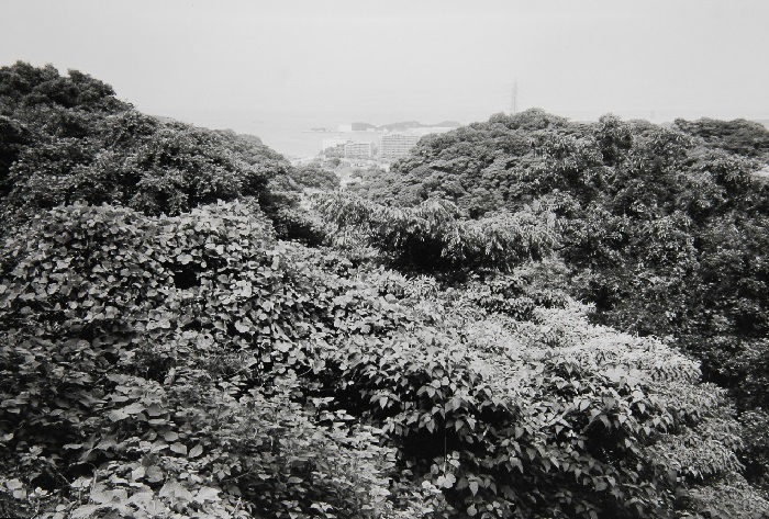 c0381632_23490807.jpg