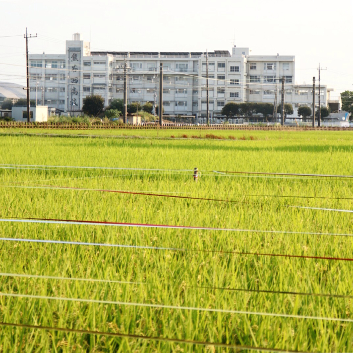 センチメンタルな旅_c0060143_19011021.jpg