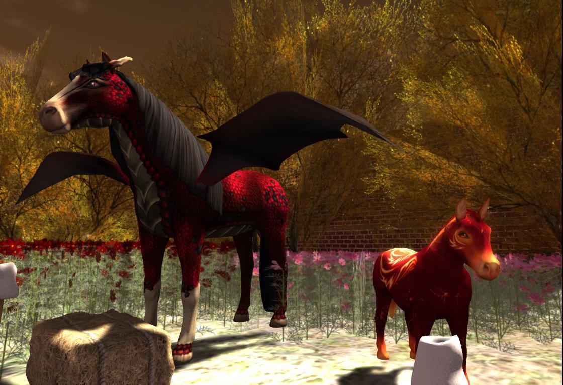 bloody horse_a0370952_19330861.jpg