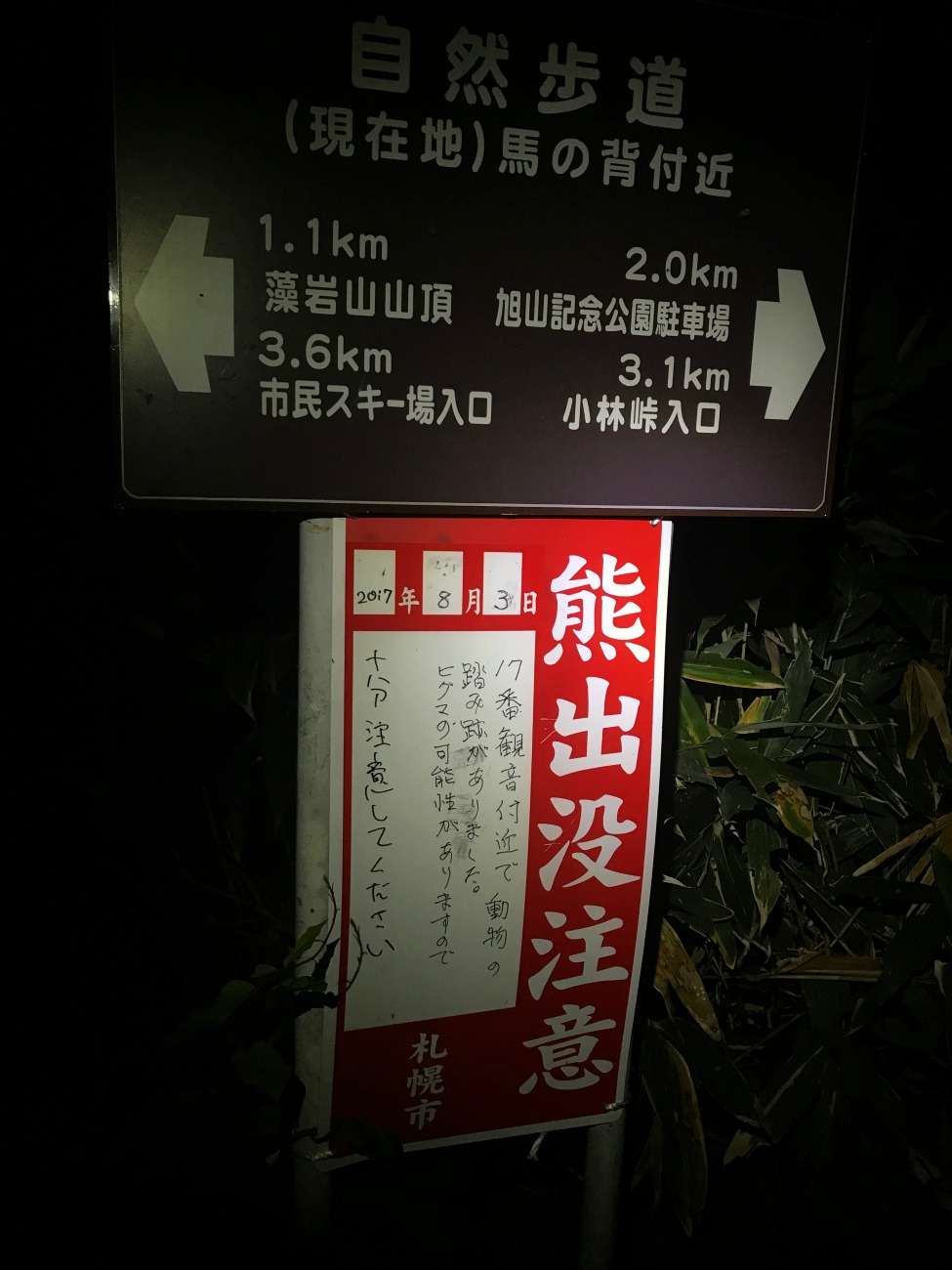 e0105954_10161995.jpg