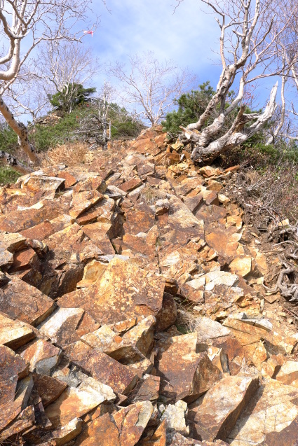 北アルプス登山の旅リターン　20　「鹿島槍ヶ岳」_a0288155_13552409.jpg