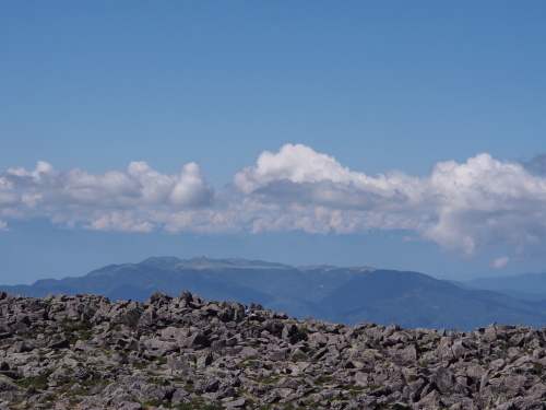 b0335256_11464202.jpg