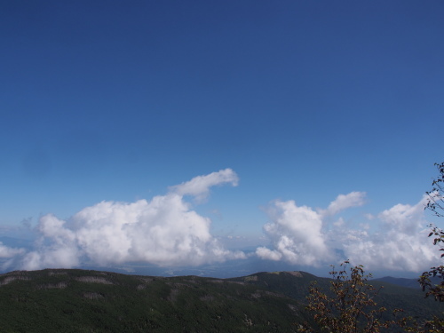 b0335256_11480988.jpg