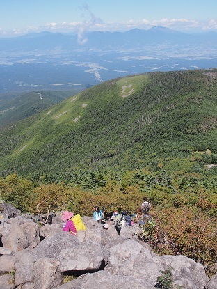 b0335256_11485247.jpg