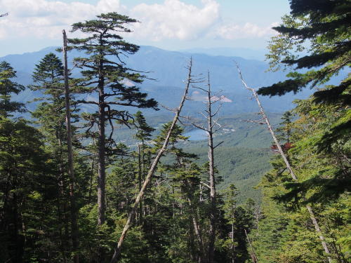 b0335256_11492196.jpg
