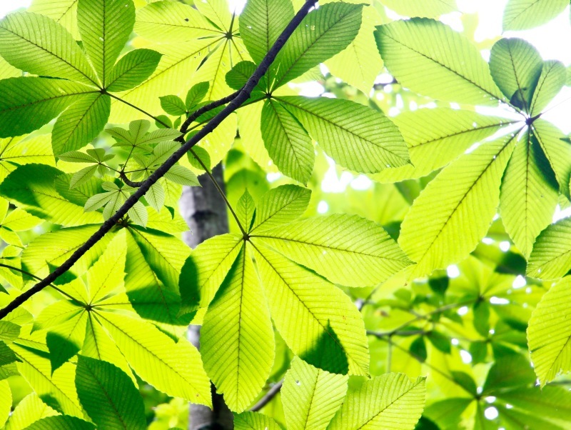 大荒れの天気に 。。。 ! !_a0248459_14371834.jpg