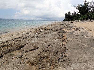 津堅島の地質見学_c0180460_02385199.jpg