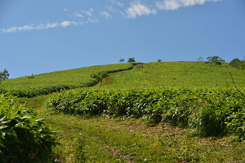 f0109977_11133993.jpg