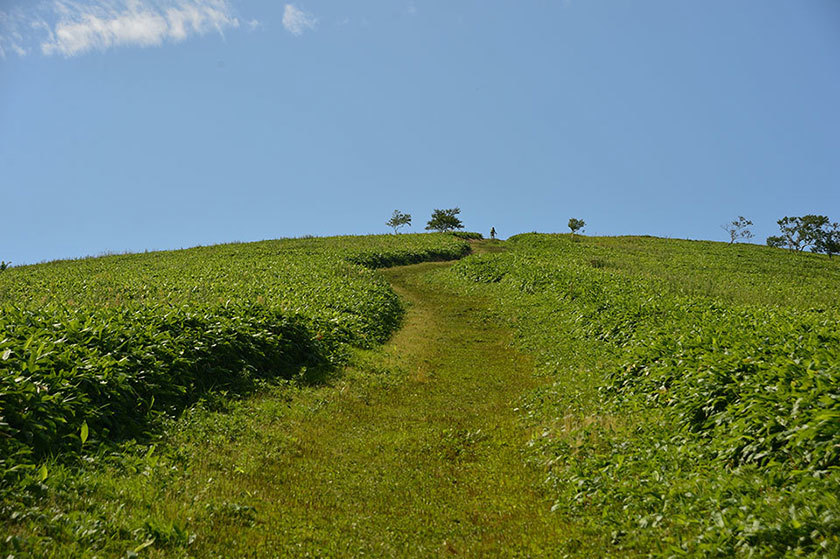 f0109977_11144574.jpg