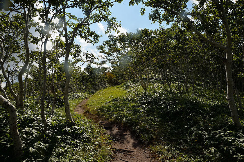 f0109977_14340503.jpg