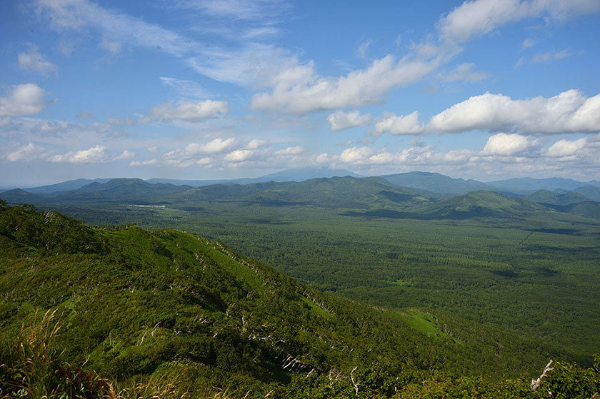 f0109977_16484920.jpg