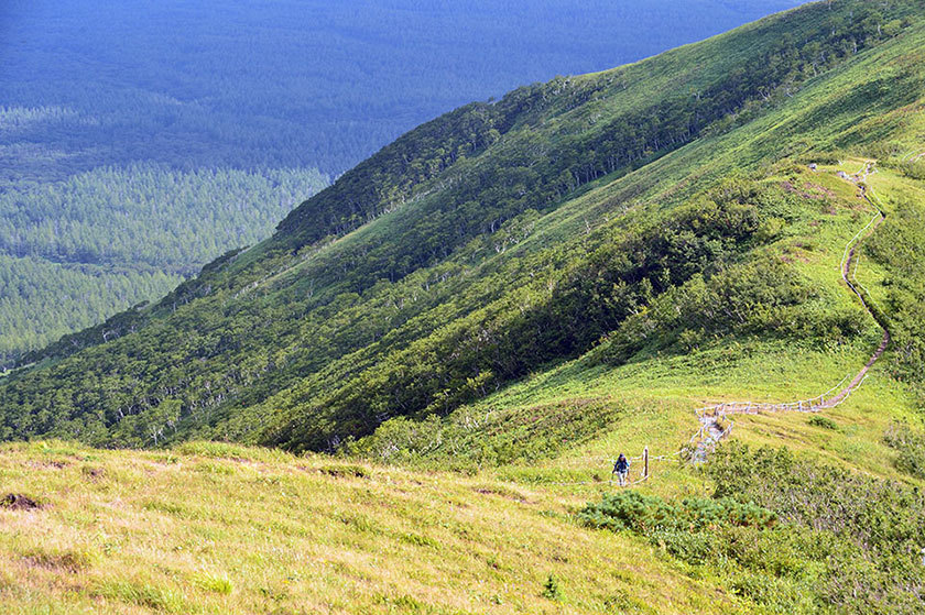 f0109977_20145108.jpg