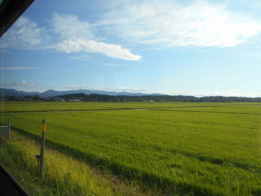 真夏の北日本海鉄道 6 (五能線)_b0005281_21551466.jpg