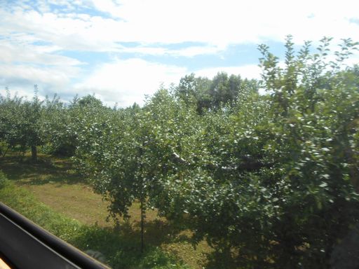 真夏の北日本海鉄道 6 (五能線)_b0005281_220976.jpg