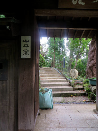 不思議な『絆』_d0085887_06242325.jpg