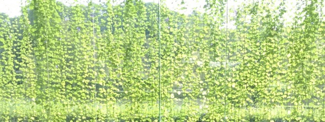 a0027290_17571850.jpg