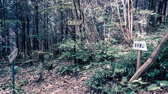 e0176993_06141906.jpg